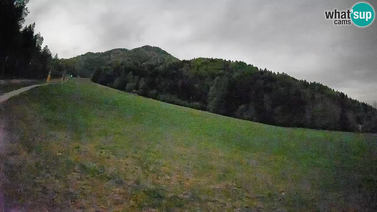 Ski Kranjska Gora | Brsnina
