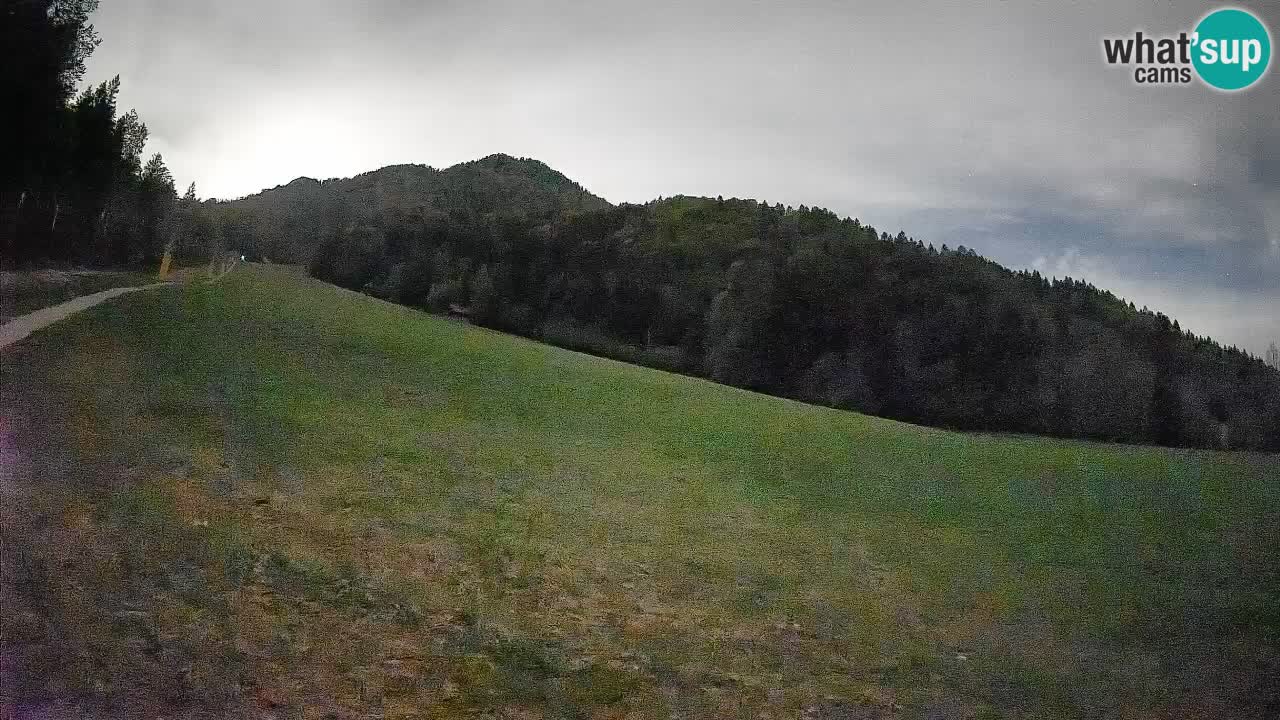 Ski Kranjska Gora | Brsnina