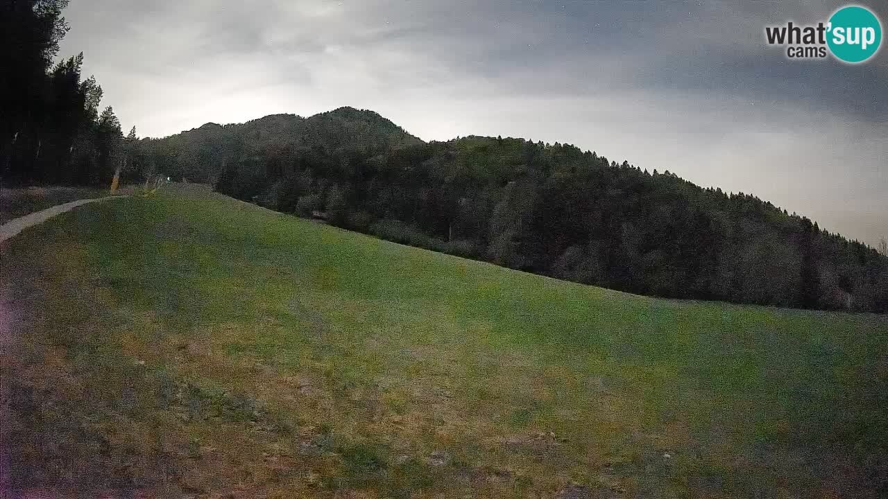 Esquí Kranjska Gora | Brsnina