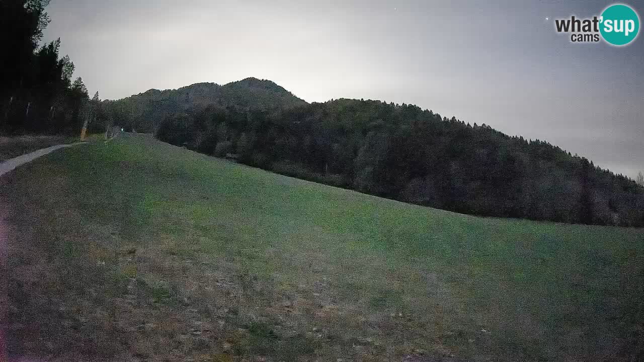 Ski Kranjska Gora | Brsnina