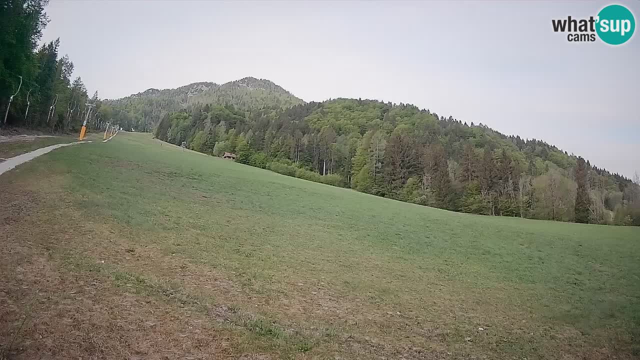 Kranjska Gora SKIJANJE | Brsnina