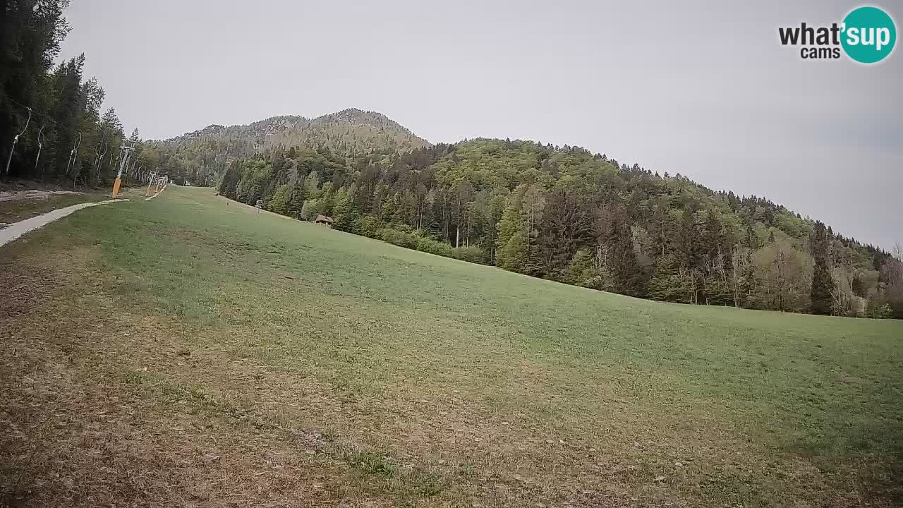 RTC Skigebiet Kranjska Gora | Brsnina