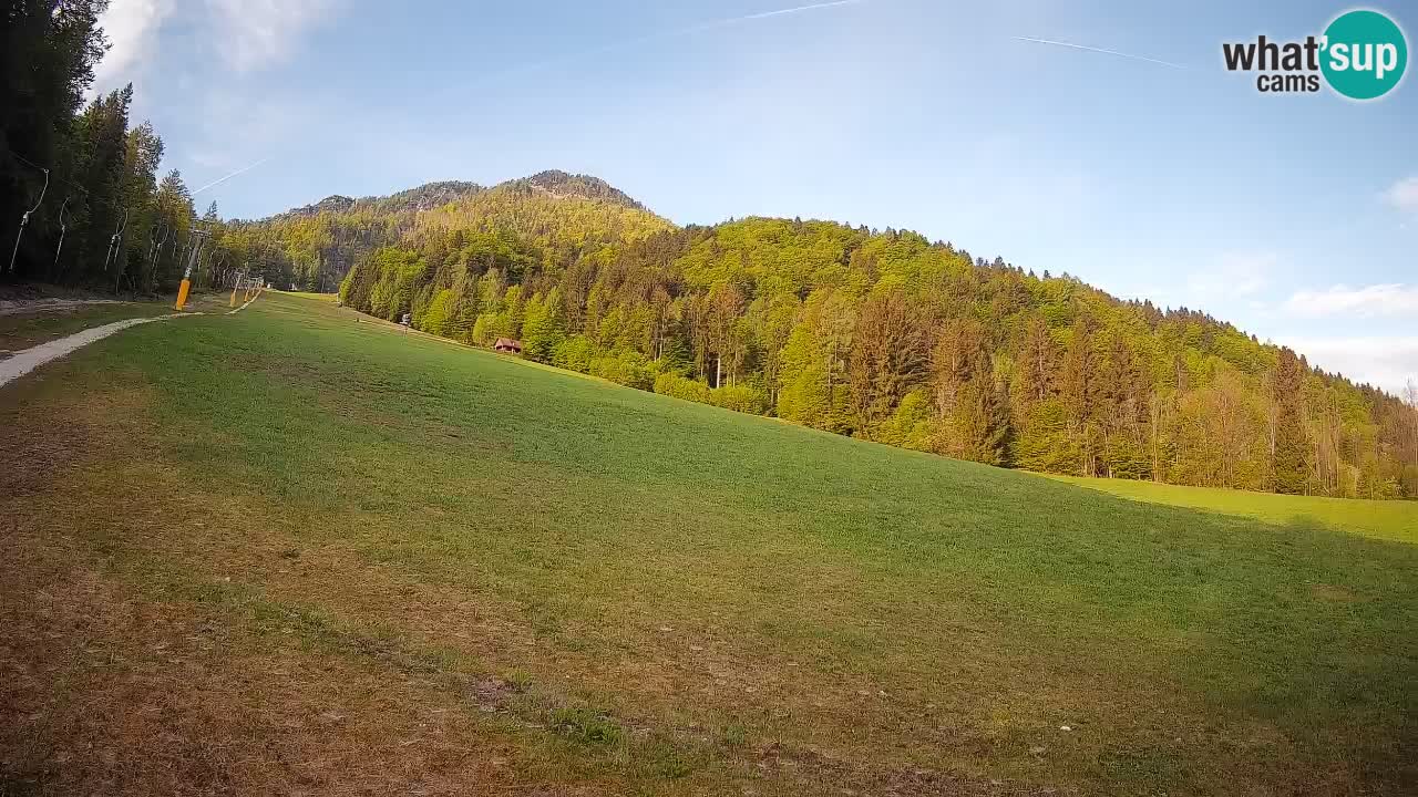 RTC Skigebiet Kranjska Gora | Brsnina