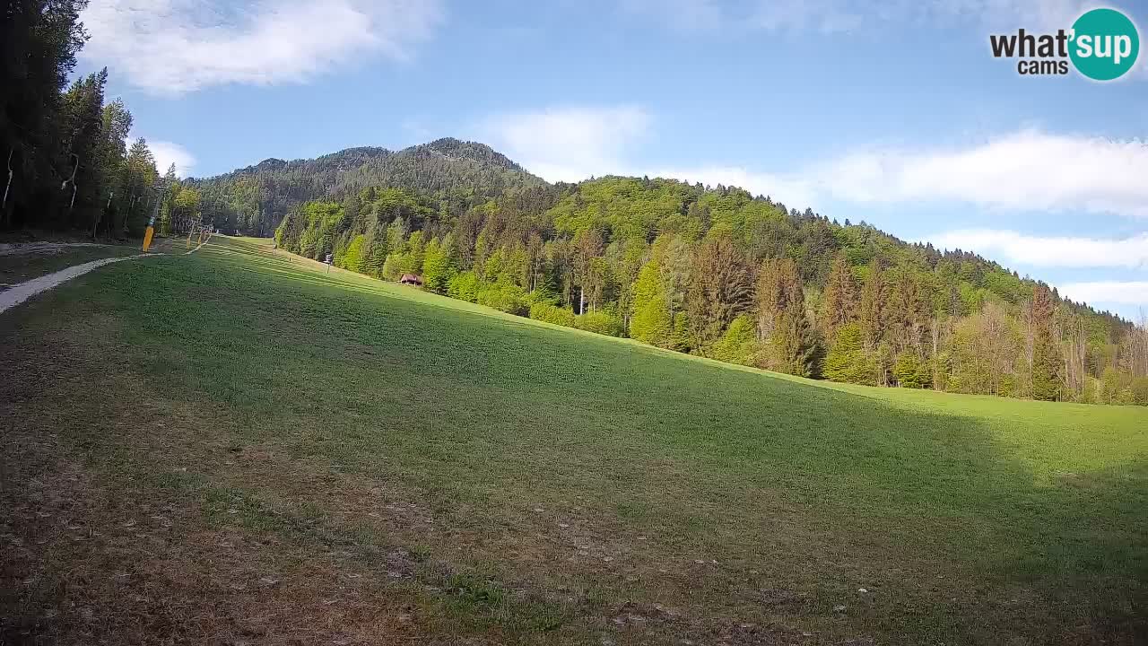 RTC Skigebiet Kranjska Gora | Brsnina