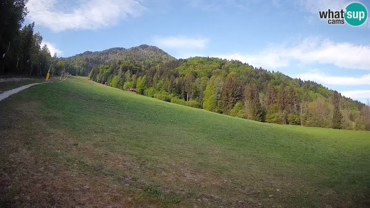 Kranjska Gora Station de ski | Brsnina