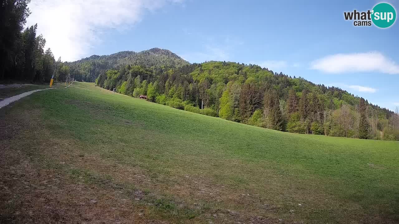 Ski Kranjska Gora | Brsnina