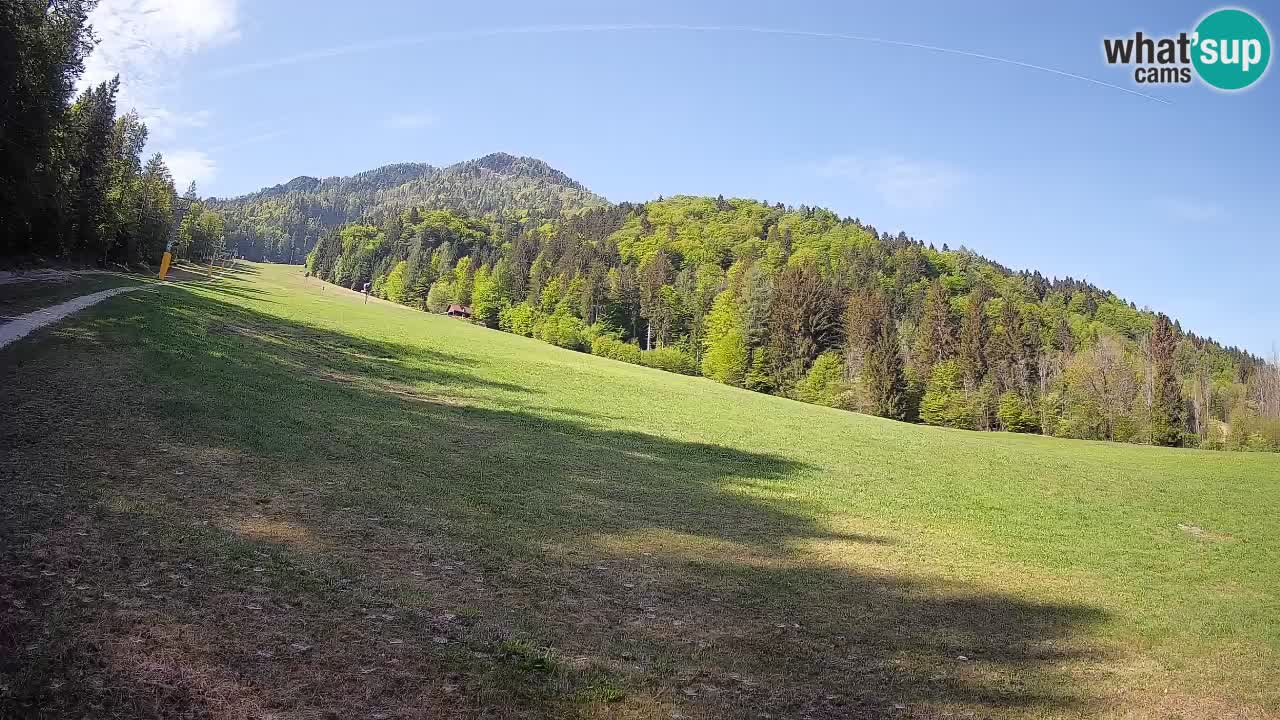 RTC Kranjska Gora | Brsnina