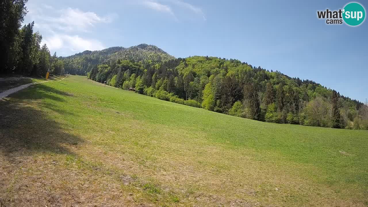 Ski Kranjska Gora | Brsnina