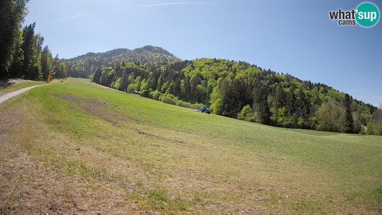 Ski Kranjska Gora | Brsnina