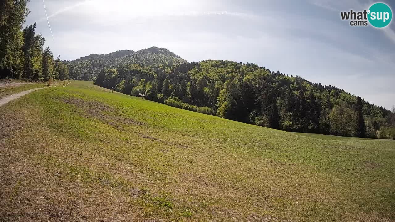 Kranjska Gora Station de ski | Brsnina