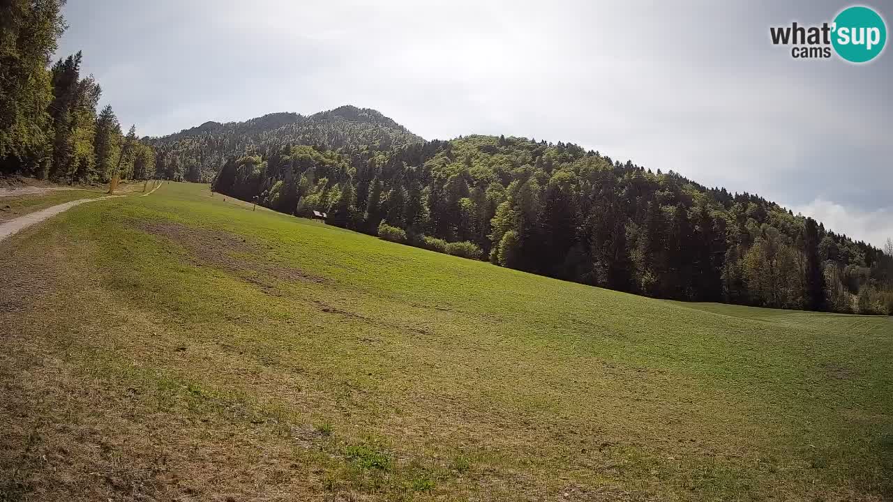 Comprensorio sciistico Kranjska Gora | Brsnina