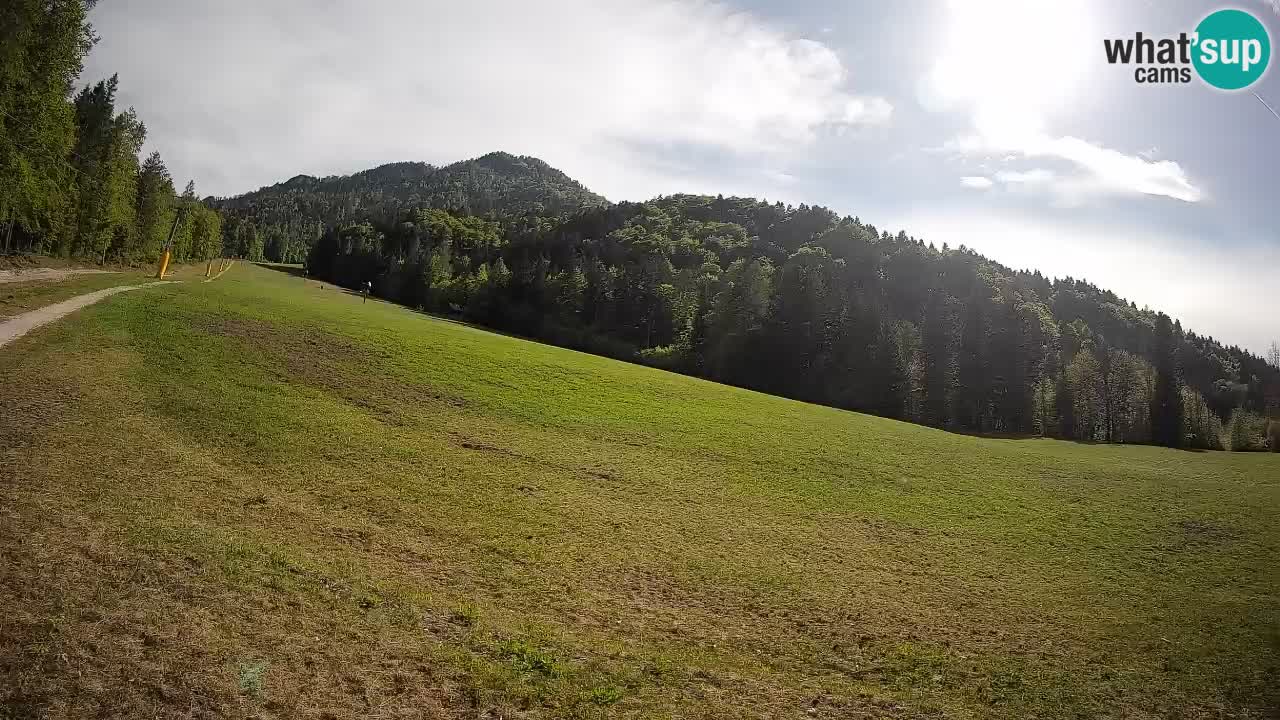 Comprensorio sciistico Kranjska Gora | Brsnina