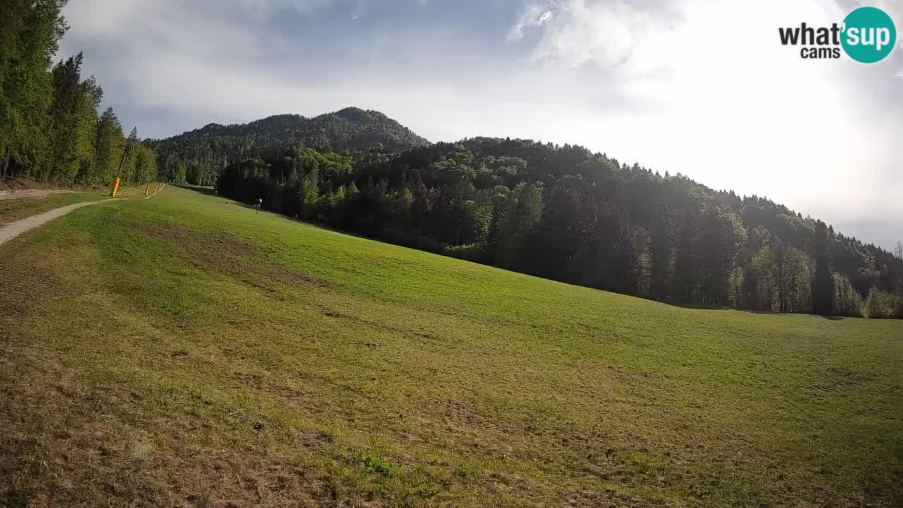 RTC Skigebiet Kranjska Gora | Brsnina