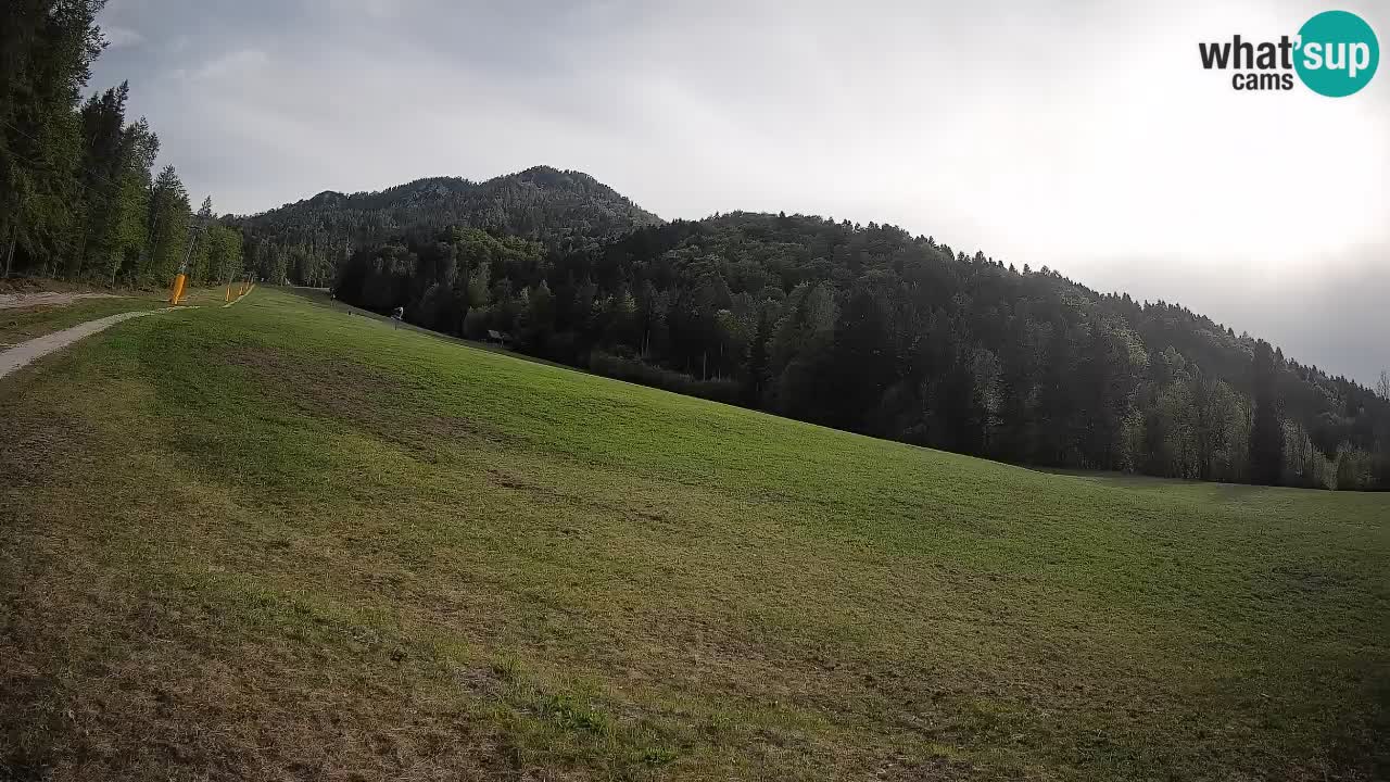 Esquí Kranjska Gora | Brsnina