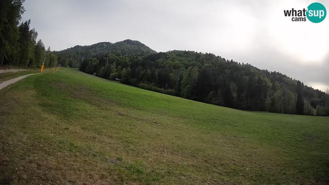 Comprensorio sciistico Kranjska Gora | Brsnina