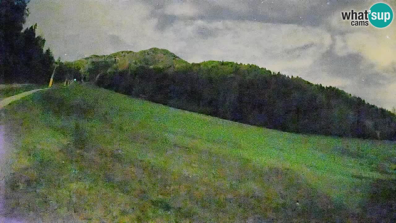 Ski Kranjska Gora | Brsnina