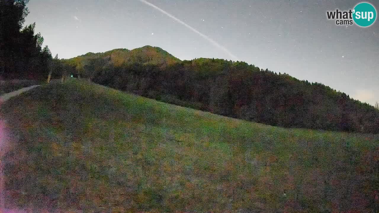 Ski Kranjska Gora | Brsnina