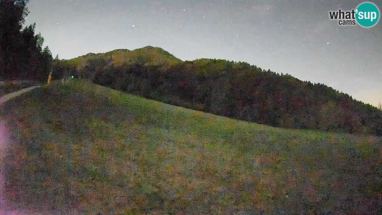 Kranjska Gora SKIJANJE | Brsnina