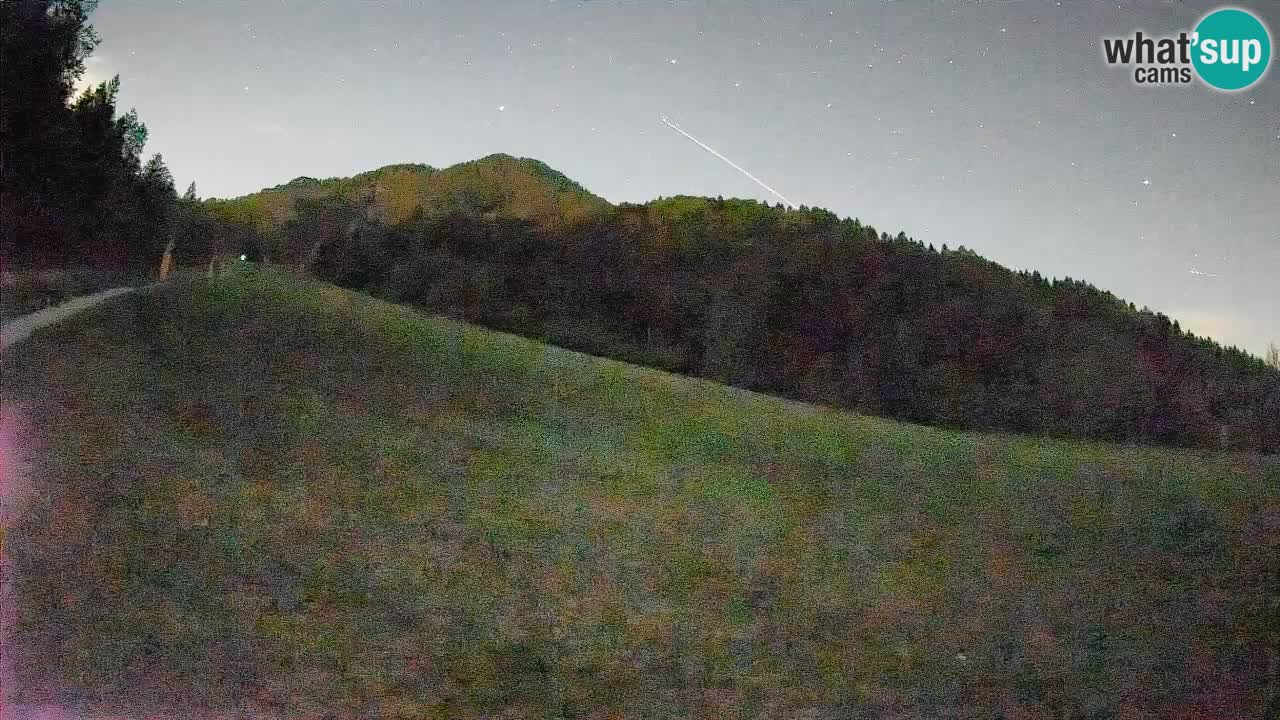 Comprensorio sciistico Kranjska Gora | Brsnina