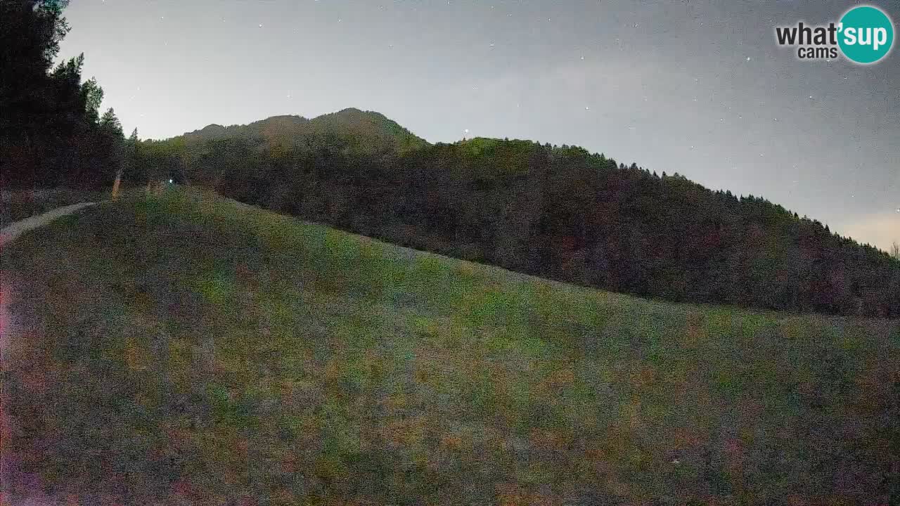 Kranjska Gora SKIJANJE | Brsnina