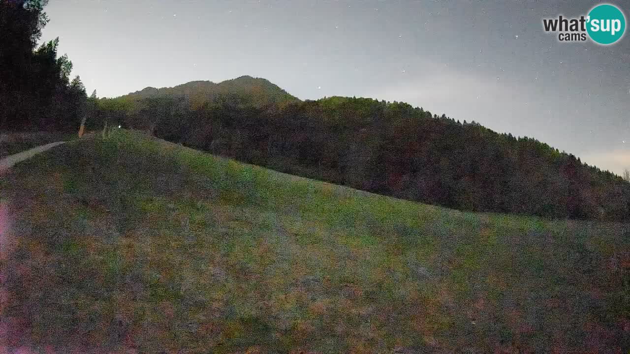Ski Kranjska Gora | Brsnina