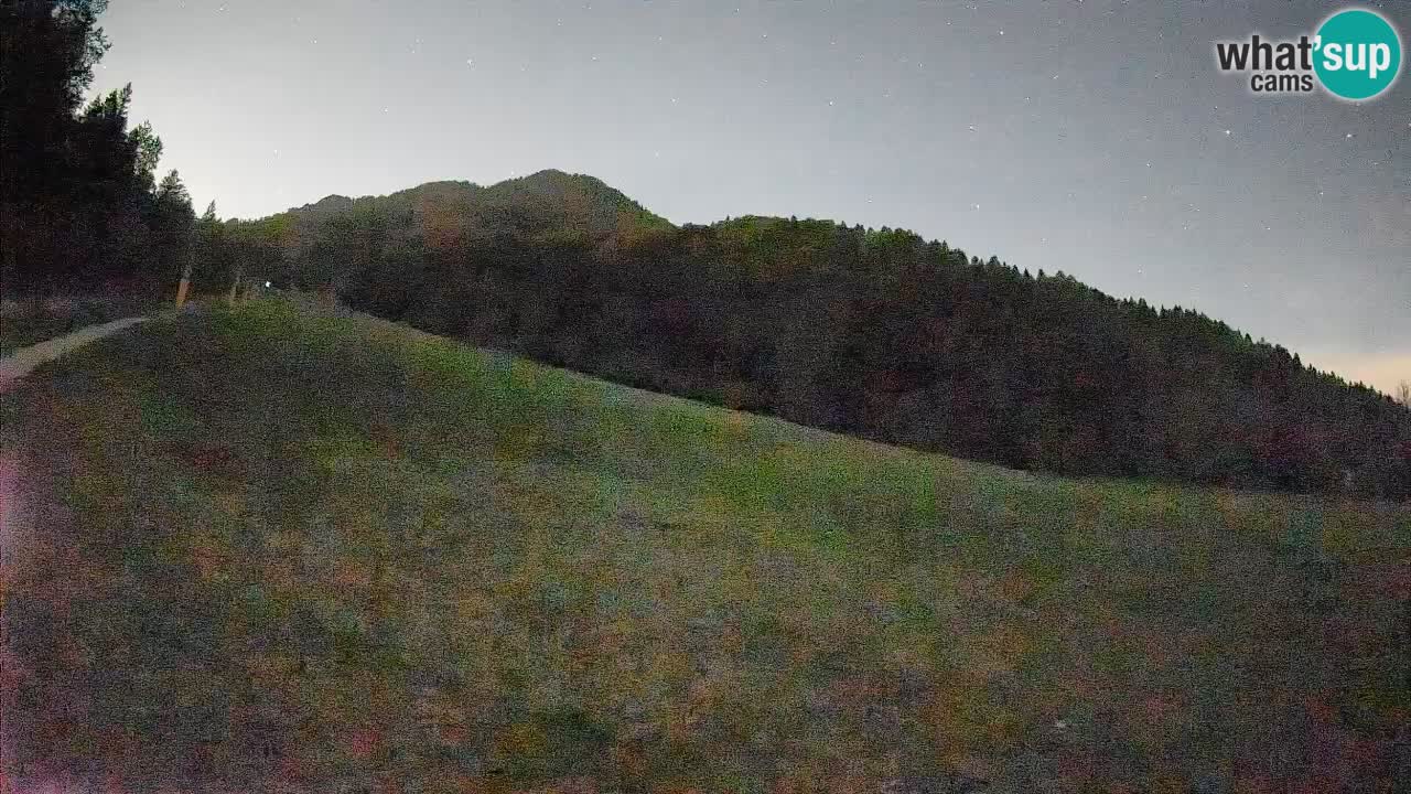 Ski Kranjska Gora | Brsnina