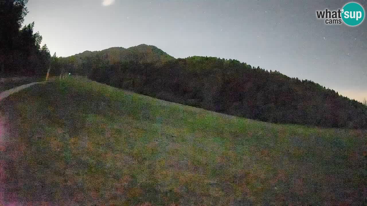 Ski Kranjska Gora | Brsnina