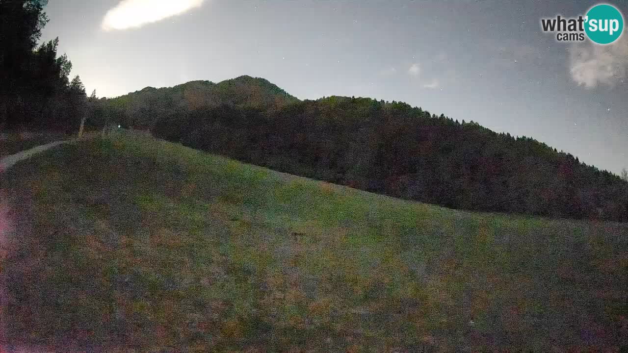 Comprensorio sciistico Kranjska Gora | Brsnina