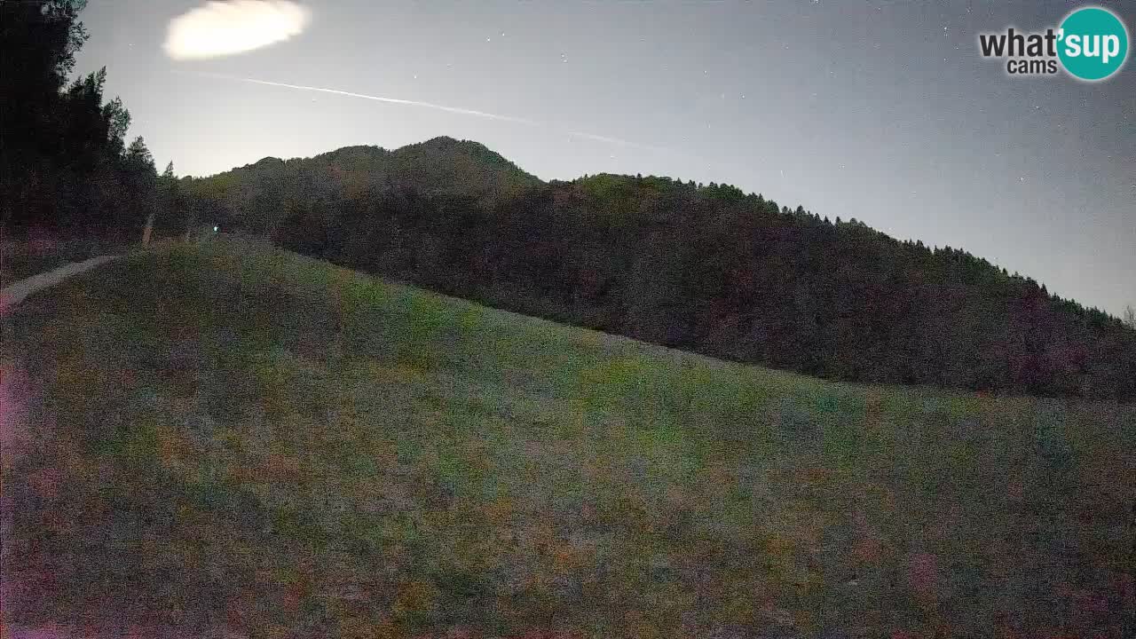 Comprensorio sciistico Kranjska Gora | Brsnina