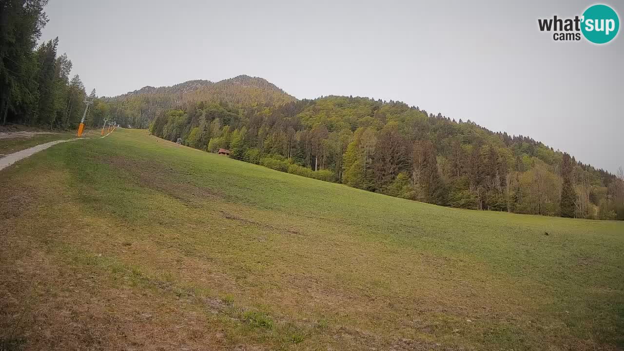 RTC Kranjska Gora | Brsnina