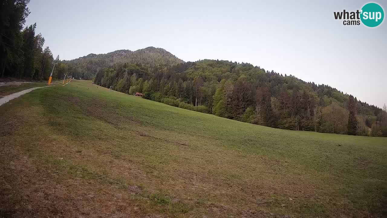 Kranjska Gora Station de ski | Brsnina