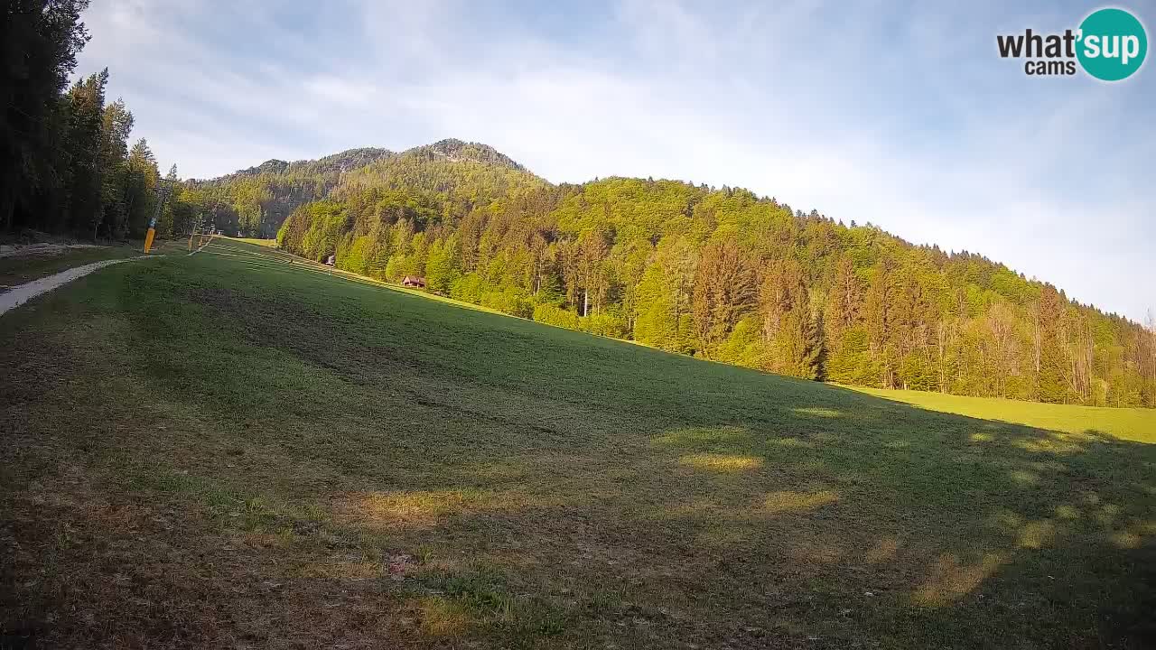 RTC Skigebiet Kranjska Gora | Brsnina