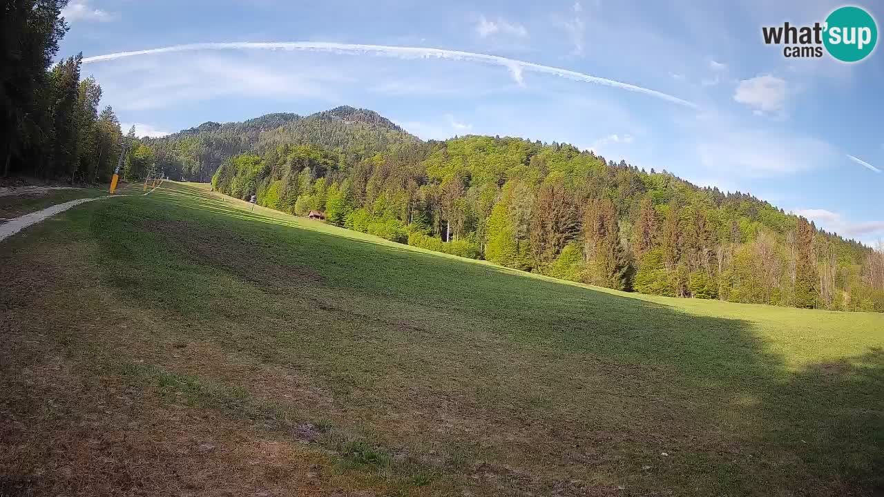Ski Kranjska Gora | Brsnina