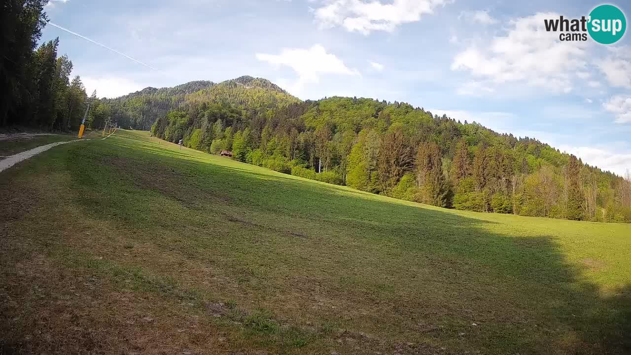 Esquí Kranjska Gora | Brsnina