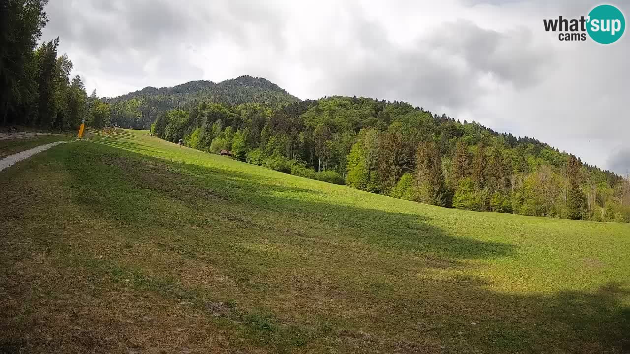 RTC Kranjska Gora | Brsnina