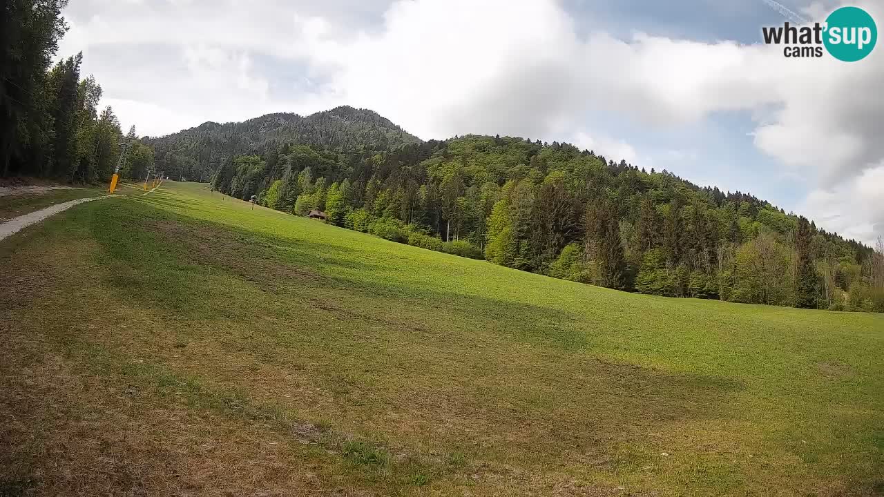 Ski Kranjska Gora | Brsnina