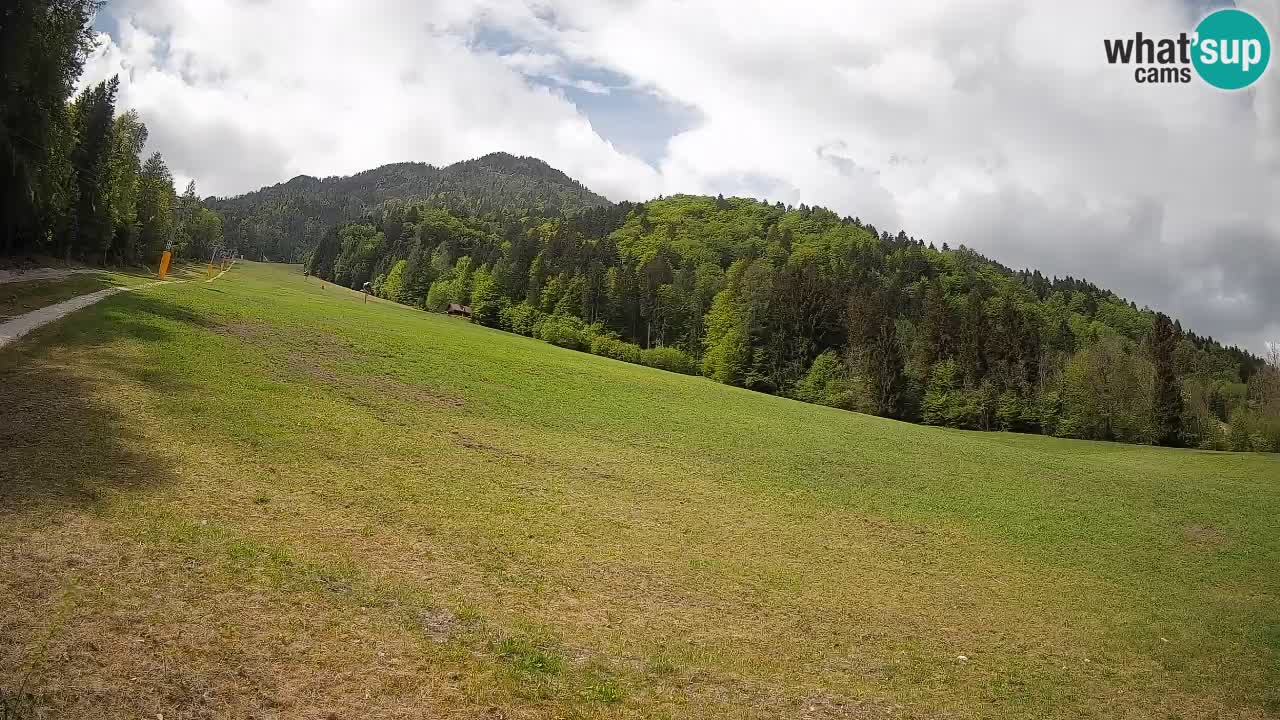 Ski Kranjska Gora | Brsnina