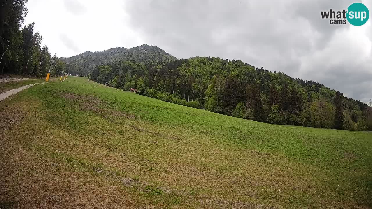 Comprensorio sciistico Kranjska Gora | Brsnina