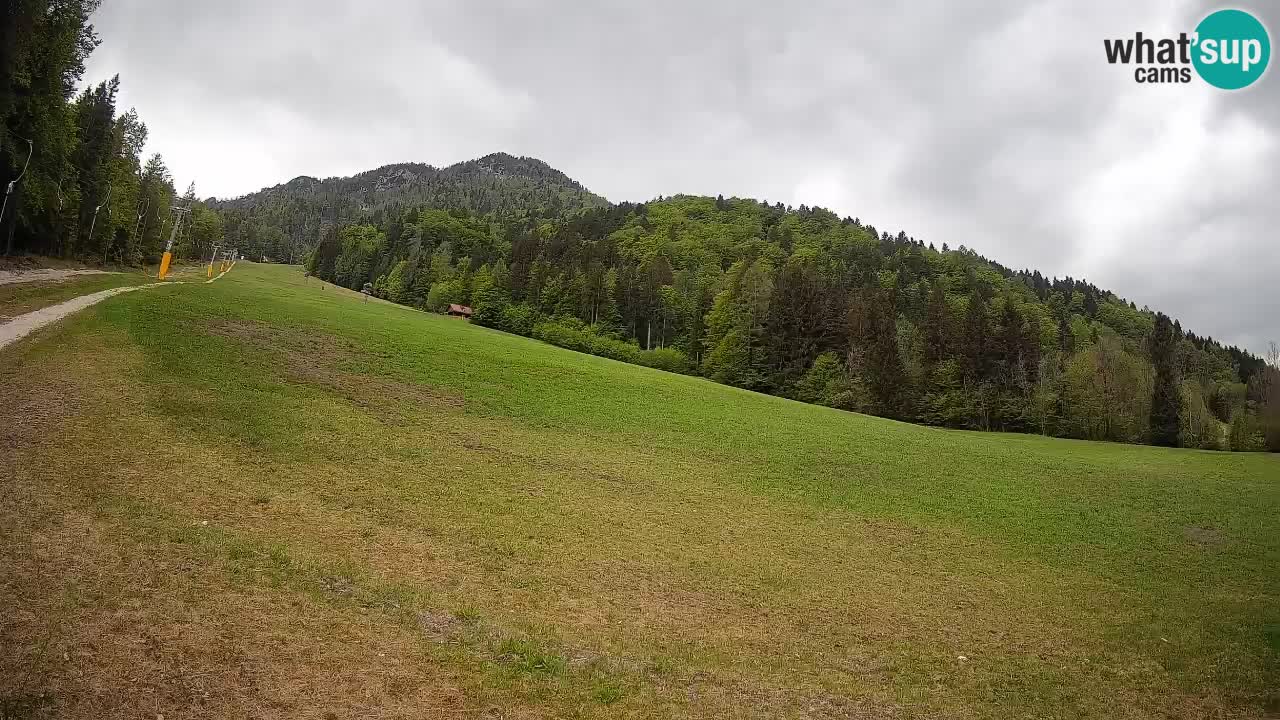 Ski Kranjska Gora | Brsnina