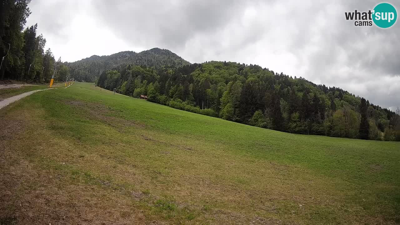 Ski Kranjska Gora | Brsnina
