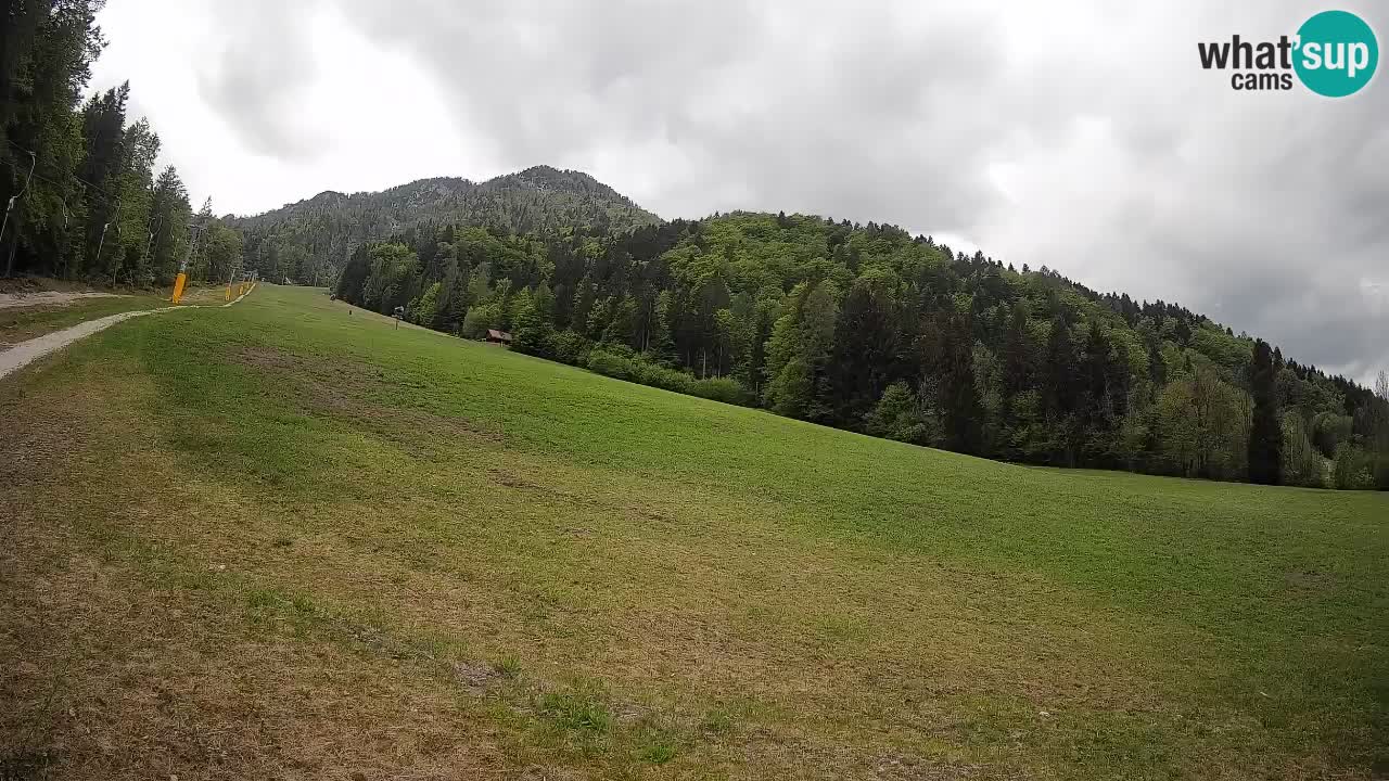 Comprensorio sciistico Kranjska Gora | Brsnina