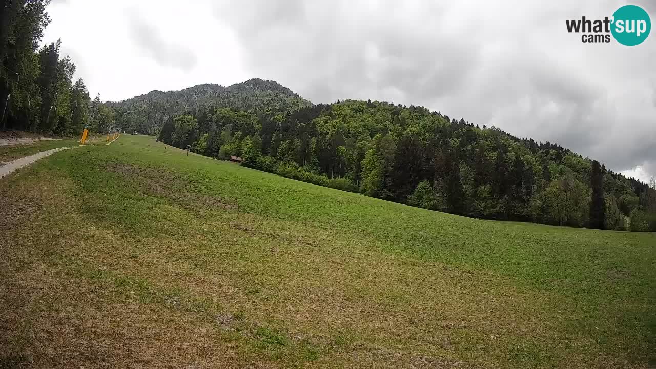 RTC Skigebiet Kranjska Gora | Brsnina