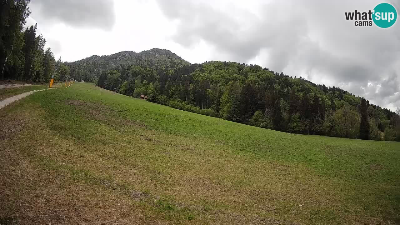 Ski Kranjska Gora | Brsnina