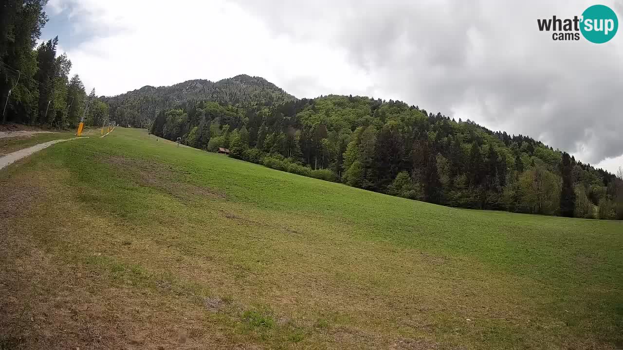 Ski Kranjska Gora | Brsnina
