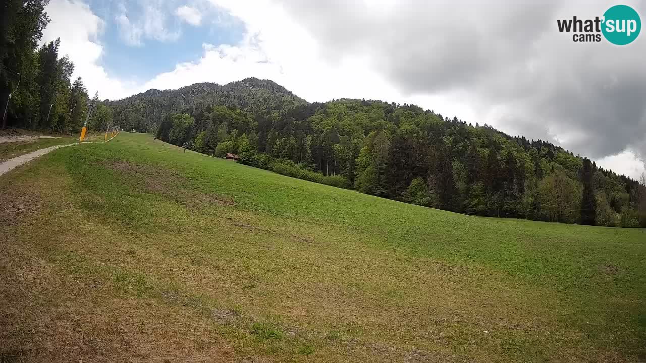 Ski Kranjska Gora | Brsnina