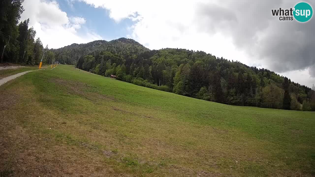 Kranjska Gora SKIJANJE | Brsnina