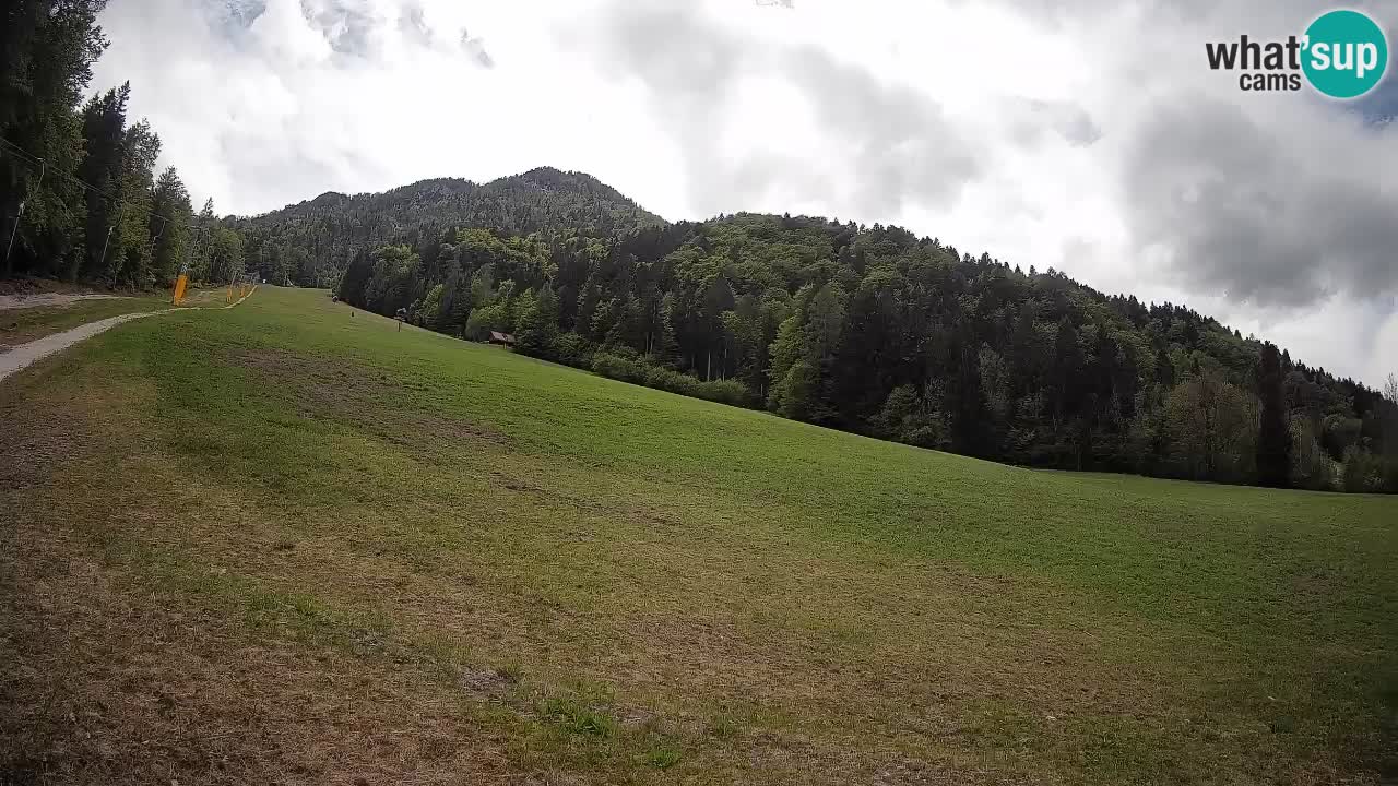 Comprensorio sciistico Kranjska Gora | Brsnina