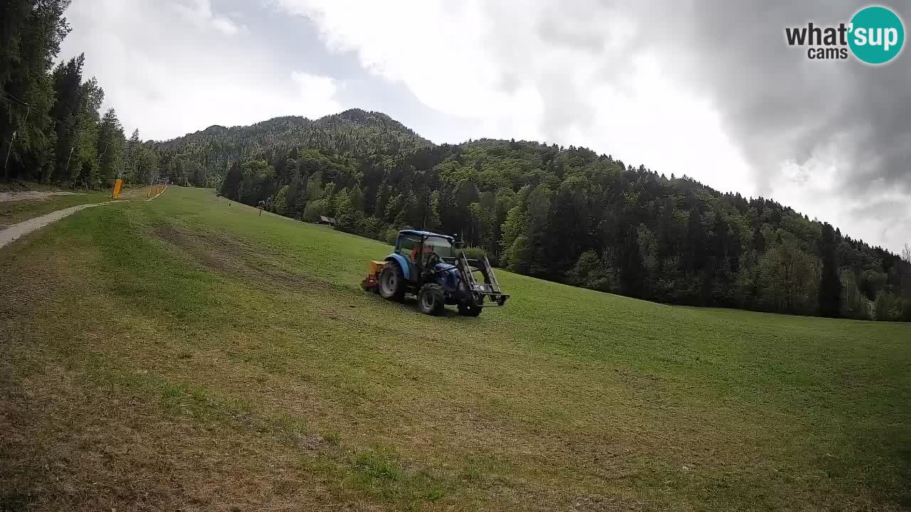 Ski Kranjska Gora | Brsnina