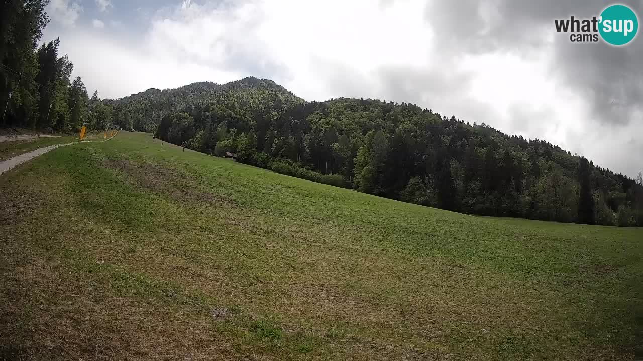Esquí Kranjska Gora | Brsnina