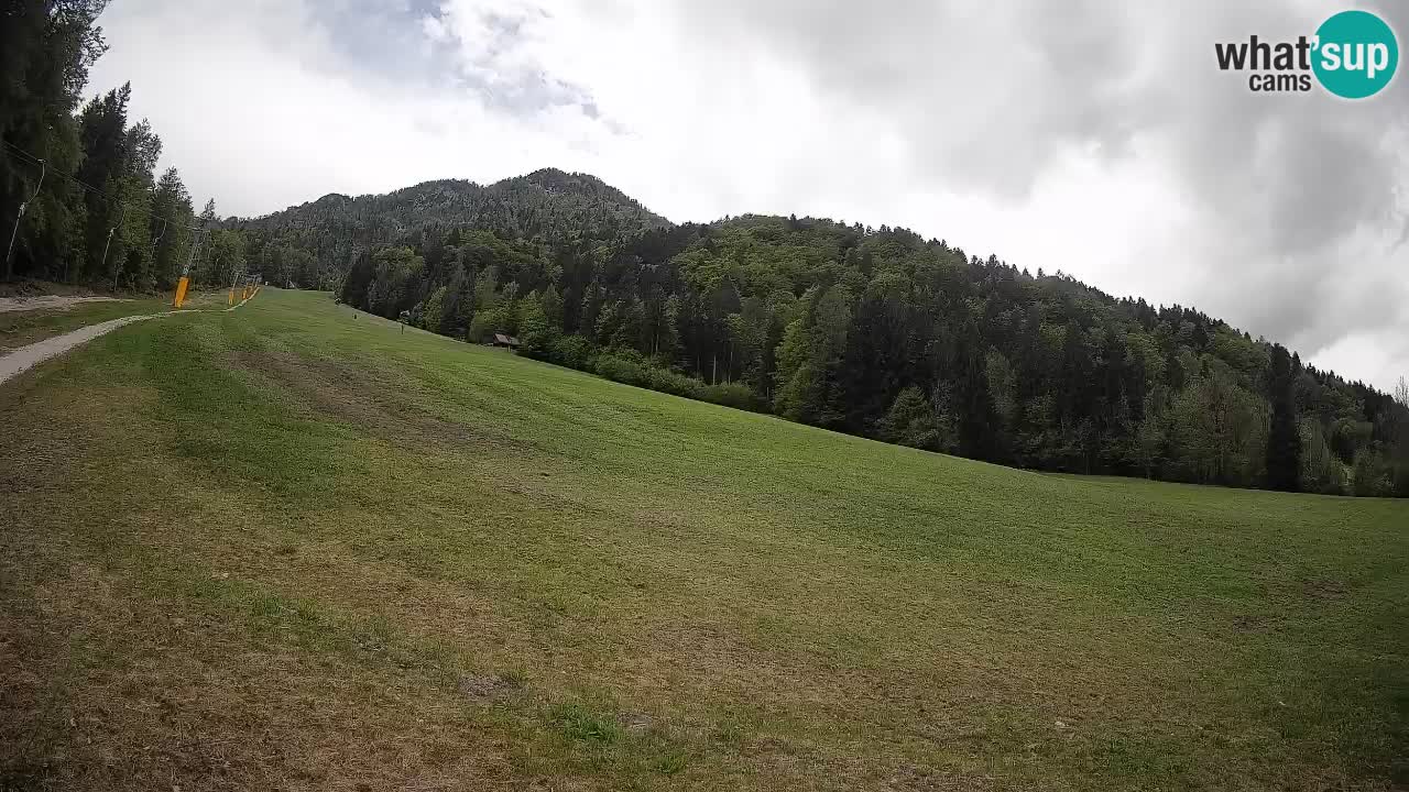 RTC Kranjska Gora | Brsnina